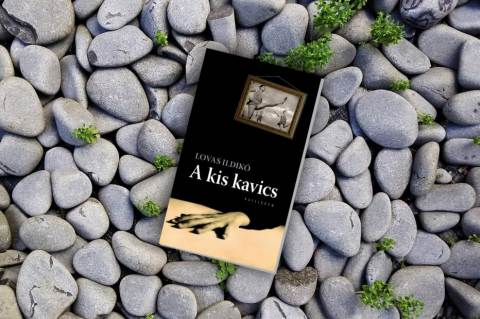 Lovas Ildikó: Kis kavics c. regényének borítója